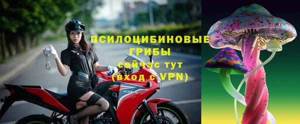 mix Белокуриха