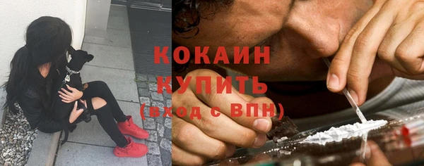 ГАЛЛЮЦИНОГЕННЫЕ ГРИБЫ Белоозёрский