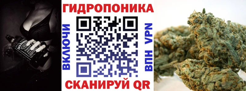 OMG маркетплейс  Семикаракорск  Канабис индика 